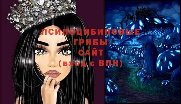 гидра Вязьма