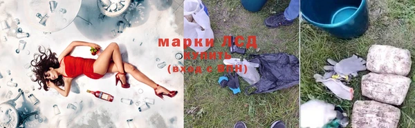 a pvp Бородино