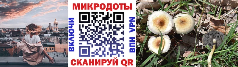 купить наркоту  shop наркотические препараты  Галлюциногенные грибы Magic Shrooms  Изобильный 